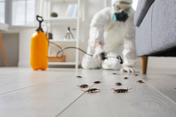 Commercial Rodent Management in Kaibito